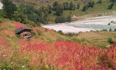 Har Ki Dun Trek - Treks In Uttarakhand - The Travel Foot