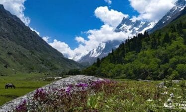 Beautiful Har ki Dun Valley in June with Swargarohini in the Background
