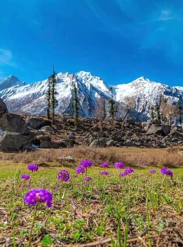 Best Summer Treks in India