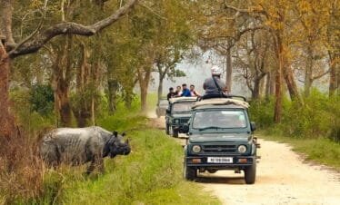 Jeep Safari in Kaziranga National Park