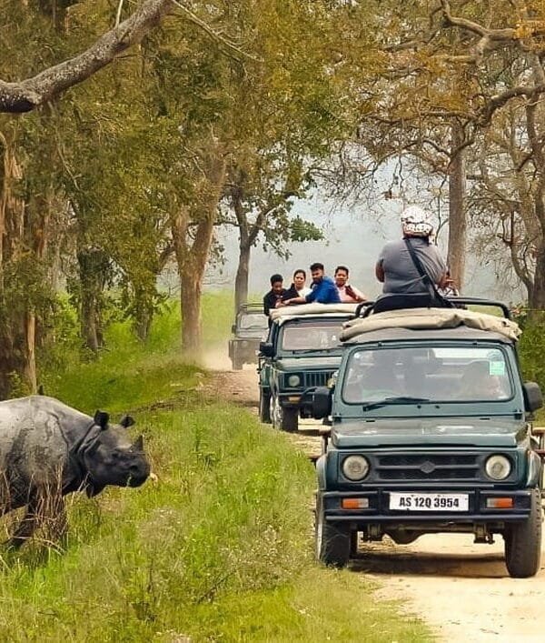 Jeep Safari in Kaziranga National Park