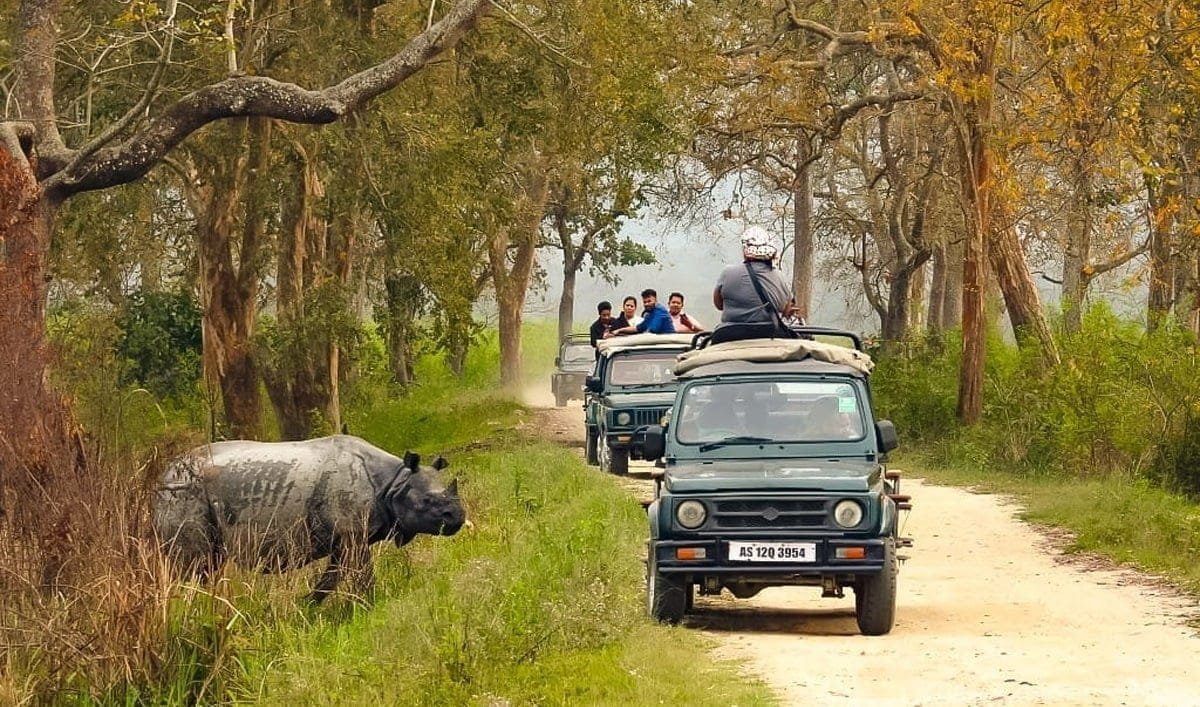 Jeep Safari in Kaziranga National Park