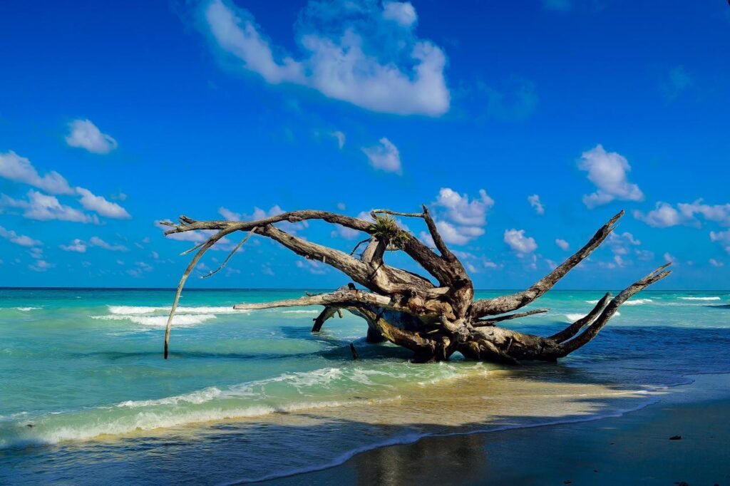 Discover Andaman