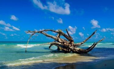 Discover Andaman