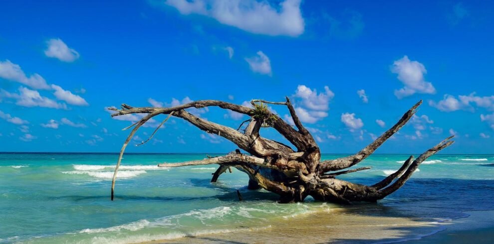 Discover Andaman